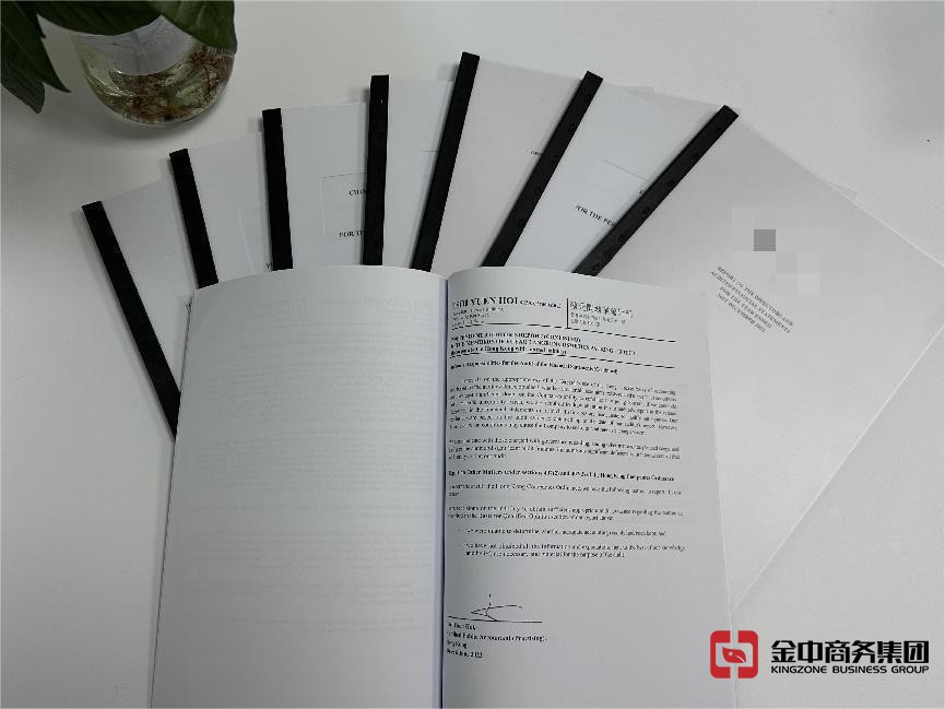 美國(guó)公司年審